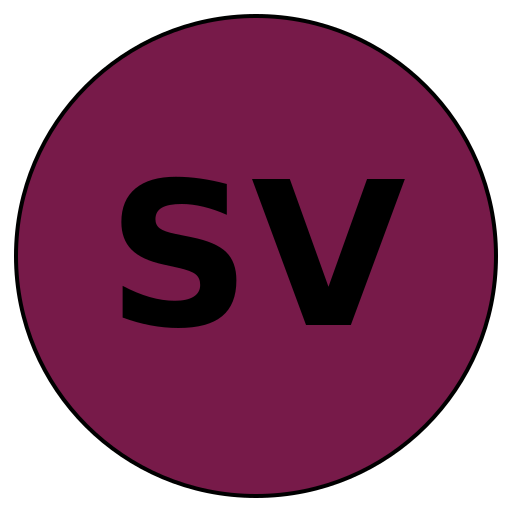Steadfast Vision